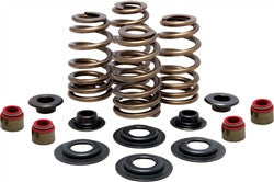 Kibblewhite Intake And Exhaust KPMI Valve Springs