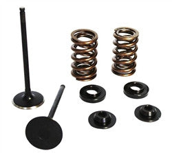 Dragonfire Polaris RZR 800 - Exhaust Kit (valves, springs, seats & retainers)