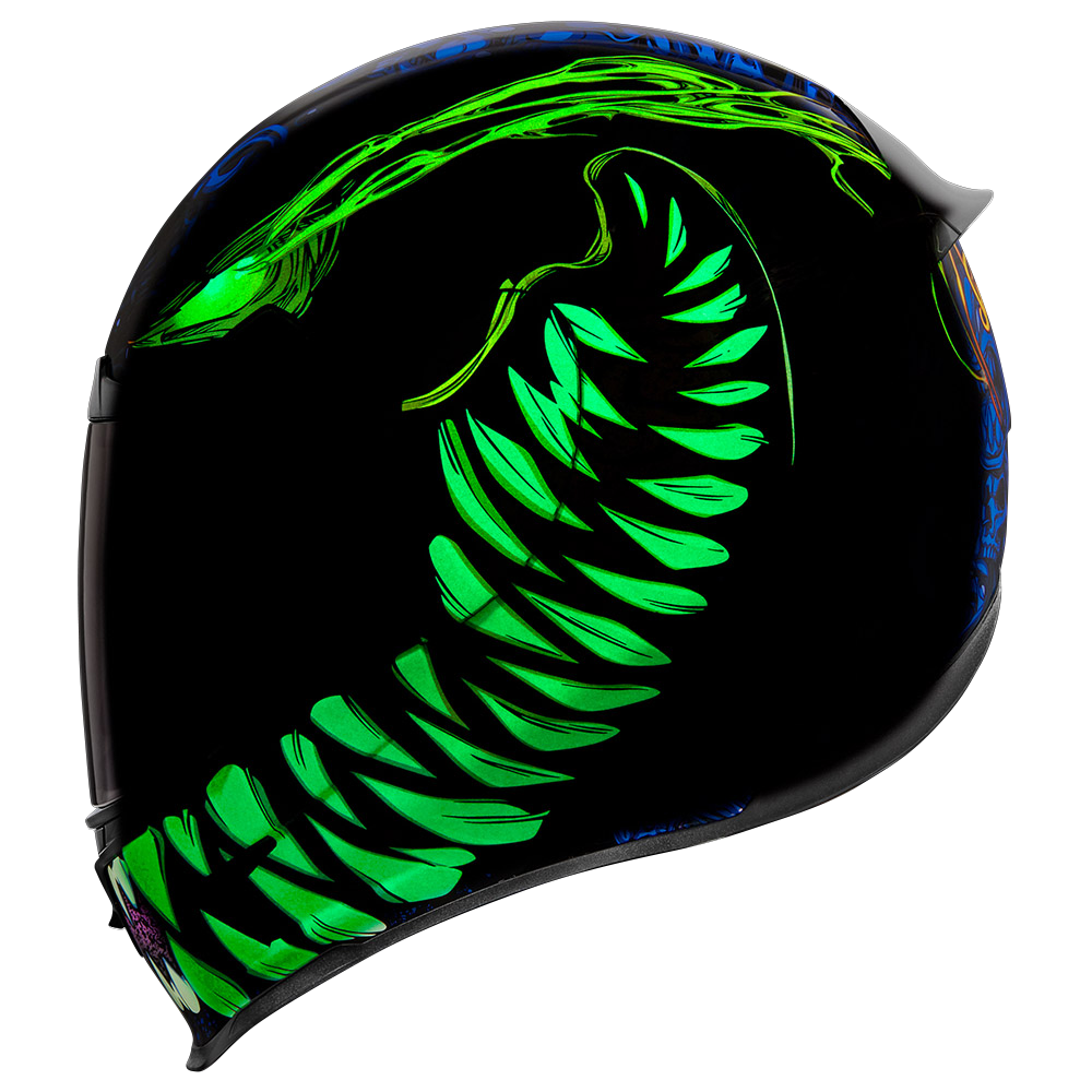 Icon Airframe Pro Soul Food Helmet