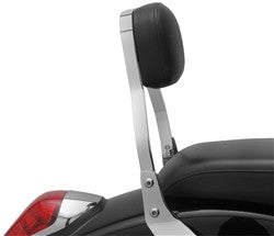 Cobra Mini Sissy Bar