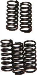 EBC KTM Clutch Springs