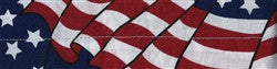 ZANheadgear Cooldanna Wavy American Flag Headgear