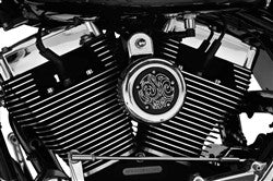 Arlen Ness Horn Cover - Chrome