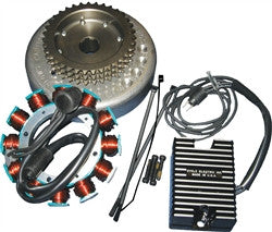Cycle Electric Inc.Stator