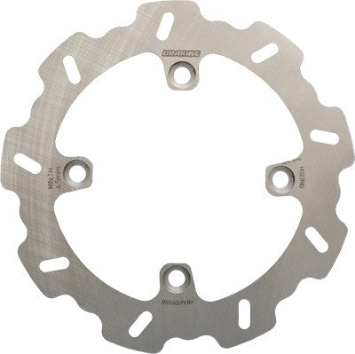 Braking Triumph Stainless Steel Racing Rotors
