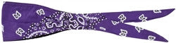 Schampa Old School Bandanna - Purple Paisley