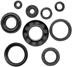 QuadBoss Polaris Oil Seal Set